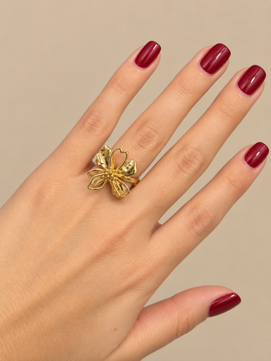 [EVER018370] Anillo Nisaba